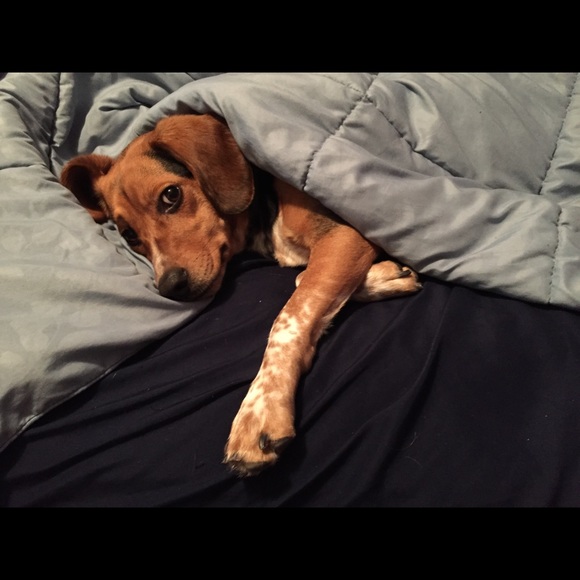 Meet your Posher, Marcella - Picture 3 of 4